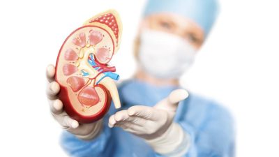 Cuidados integrales de enfermería en procesos nefrourológicos